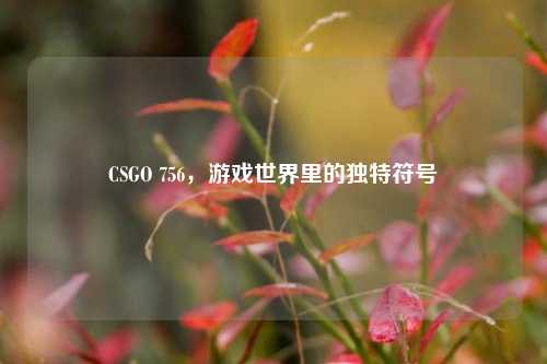 CSGO 756，游戏世界里的独特符号