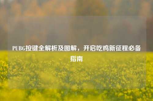 PUBG按键全解析及图解,开启吃鸡新征程必备指南