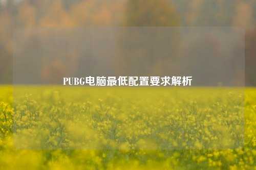 PUBG电脑最低配置要求解析