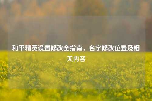 和平精英设置修改全指南,名字修改位置及相关内容