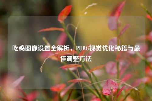 吃鸡图像设置全解析,PUBG视觉优化秘籍与最佳调整方法