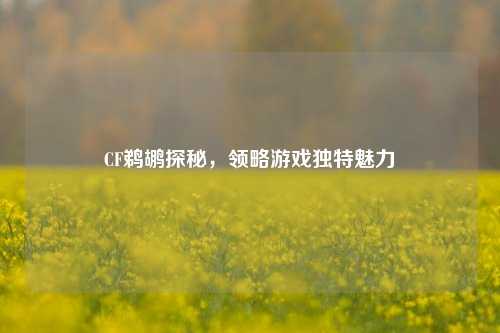 CF鹈鹕探秘，领略游戏独特魅力