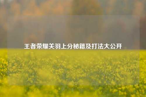 王者荣耀关羽上分秘籍及打法大公开