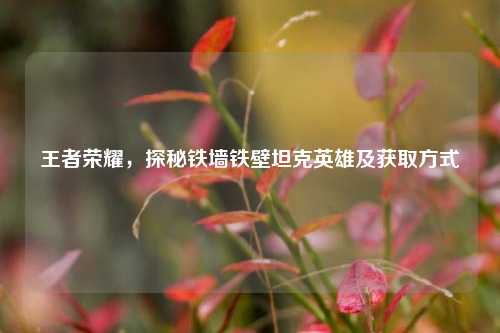 王者荣耀，探秘铁墙铁壁坦克英雄及获取方式
