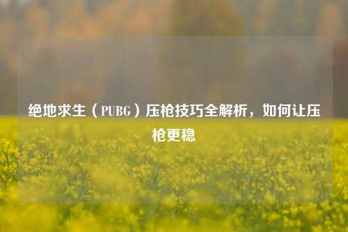绝地求生（PUBG）压枪技巧全解析，如何让压枪更稳