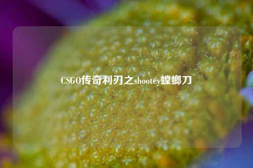 CSGO传奇利刃之shootey螳螂刀