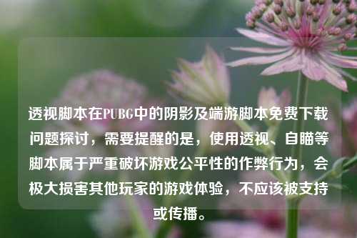 透视脚本在PUBG中的阴影及端游脚本免费下载问题探讨，需要提醒的是，使用透视、自瞄等脚本属于严重破坏游戏公平性的作弊行为，会极大损害其他玩家的游戏体验，不应该被支持或传播。