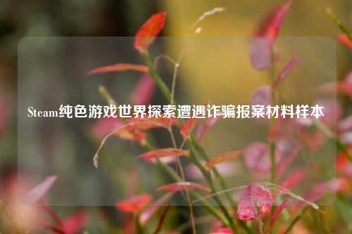 Steam纯色游戏世界探索遭遇诈骗报案材料样本