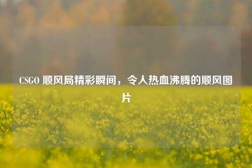 CSGO 顺风局精彩瞬间,令人热血沸腾的顺风图片