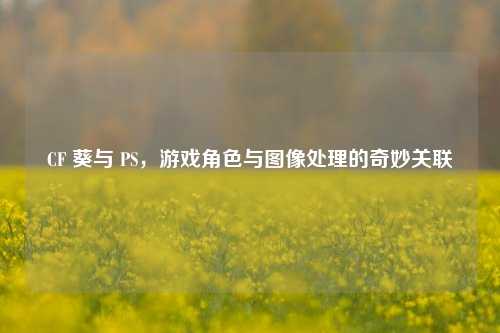CF 葵与 PS,游戏角色与图像处理的奇妙关联