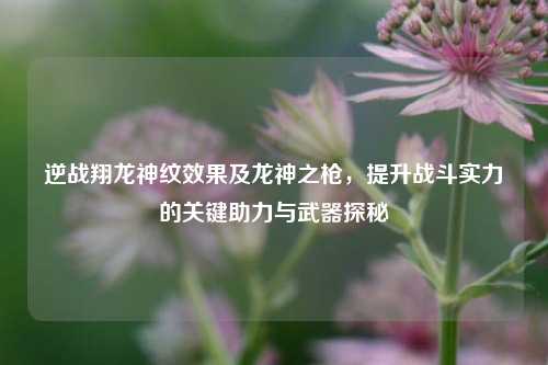 逆战翔龙神纹效果及龙神之枪，提升战斗实力的关键助力与武器探秘