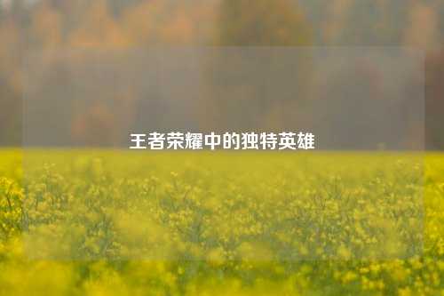 王者荣耀中的独特英雄旻