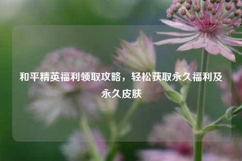 和平精英福利领取攻略，轻松获取永久福利及永久皮肤