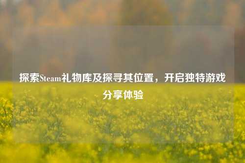 探索Steam礼物库及探寻其位置,开启独特游戏分享体验
