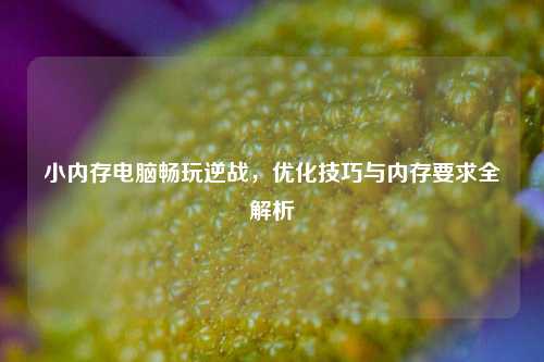 小内存电脑畅玩逆战,优化技巧与内存要求全解析