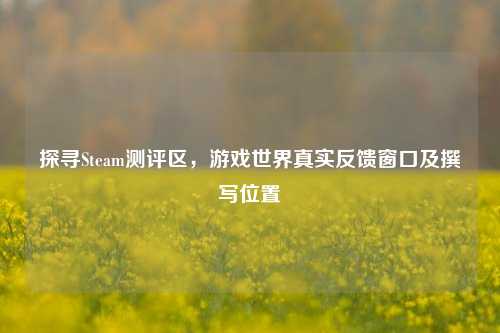 探寻Steam测评区,游戏世界真实反馈窗口及撰写位置