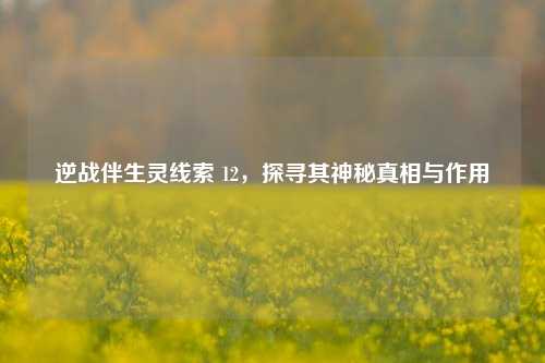 逆战伴生灵线索 12，探寻其神秘真相与作用