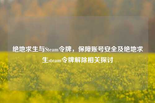 绝地求生与Steam令牌,保障账号安全及绝地求生steam令牌解除相关探讨