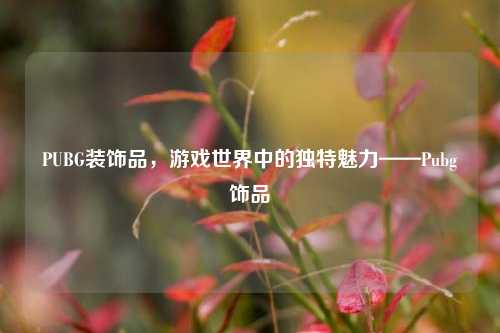 PUBG装饰品,游戏世界中的独特魅力——Pubg饰品