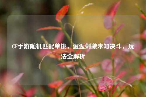 CF手游随机匹配单挑，邂逅刺激未知决斗，玩法全解析