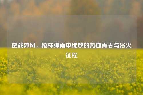 逆战沐风，枪林弹雨中绽放的热血青春与浴火征程