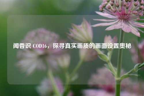 闻香识 COD16，探寻真实画质的画面设置奥秘