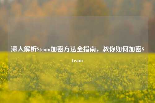 深入解析Steam加密方法全指南,教你如何加密Steam