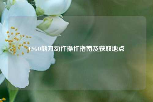 CSGO熊刀动作操作指南及获取地点
