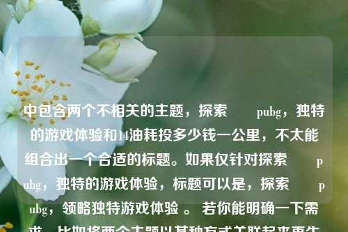 中包含两个不相关的主题,探索弙東pubg,独特的游戏体验和14油耗投多少钱一公里,不太能组合出一个合适的标题。如果仅针对探索弙東pubg,独特的游戏体验,标题可以是,探索弙東pubg,领略独特游戏体验 。 若你能明确一下需求,比如将两个主题以某种方式关联起来再生成标题等,可继续向我提问。