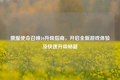 俄服使命召唤16升级指南,开启全新游戏体验及快速升级秘籍
