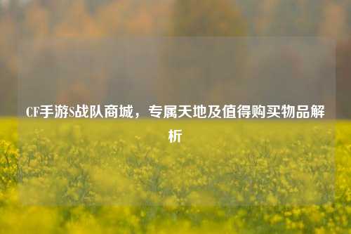 CF手游S战队商城,专属天地及值得购买物品解析
