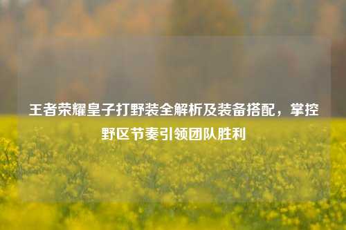 王者荣耀皇子打野装全解析及装备搭配，掌控野区节奏引领团队胜利