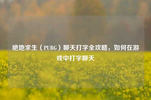 绝地求生(PUBG)聊天打字全攻略,如何在游戏中打字聊天