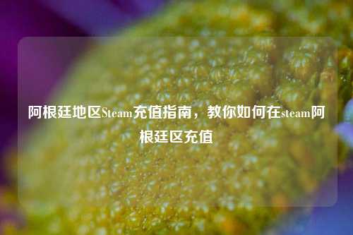 阿根廷地区Steam充值指南，教你如何在steam阿根廷区充值