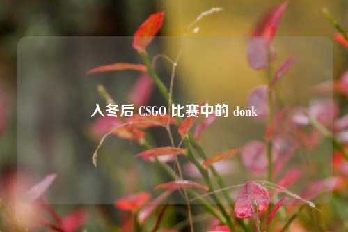 入冬后 CSGO 比赛中的 donk
