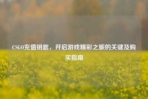 CSGO充值钥匙，开启游戏精彩之旅的关键及购买指南