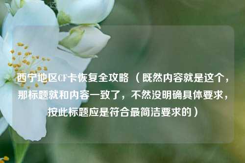 西宁地区CF卡恢复全攻略 （既然内容就是这个，那标题就和内容一致了，不然没明确具体要求，按此标题应是符合最简洁要求的）