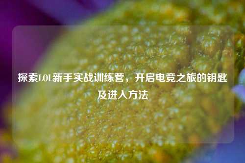 探索LOL新手实战训练营,开启电竞之旅的钥匙及进入方法