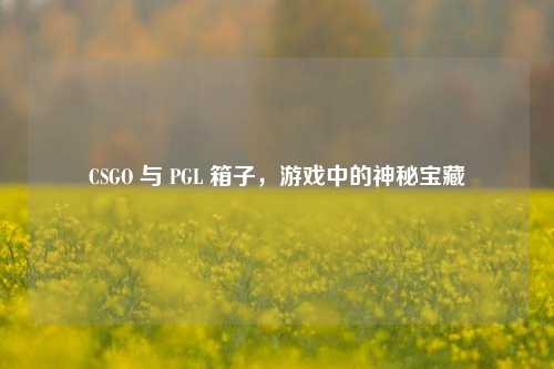 CSGO 与 PGL 箱子,游戏中的神秘宝藏