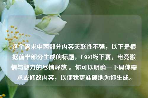 这个需求中两部分内容关联性不强,以下是根据前半部分生成的标题,CSGO线下赛,电竞激情与魅力的尽情释放 。你可以明确一下具体需求或修改内容,以便我更准确地为你生成。