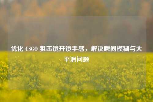 优化 CSGO 狙击镜开镜手感，解决瞬间模糊与太平滑问题