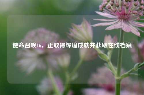 使命召唤16，正取得辉煌成就并获取在线档案