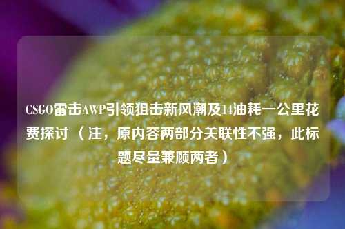 CSGO雷击AWP引领狙击新风潮及14油耗一公里花费探讨 (注,原内容两部分关联性不强,此标题尽量兼顾两者)