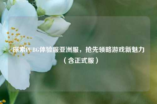 探索PUBG体验服亚洲服，抢先领略游戏新魅力（含正式服）