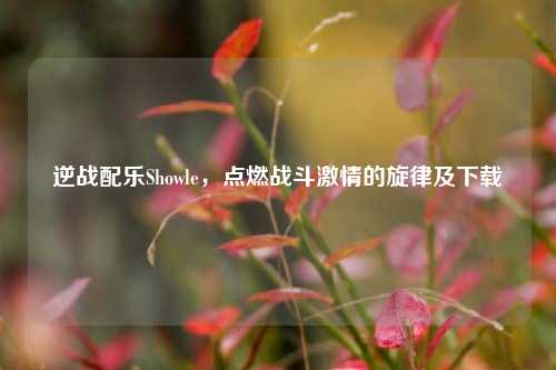 逆战配乐Showle,点燃战斗激情的旋律及下载