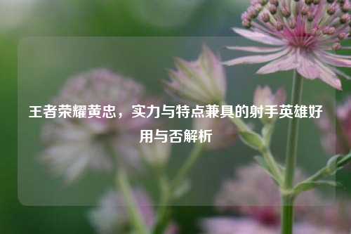王者荣耀黄忠，实力与特点兼具的射手英雄好用与否解析