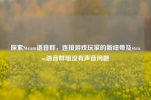 探索Steam语音群，连接游戏玩家的新纽带及steam语音群组没有声音问题