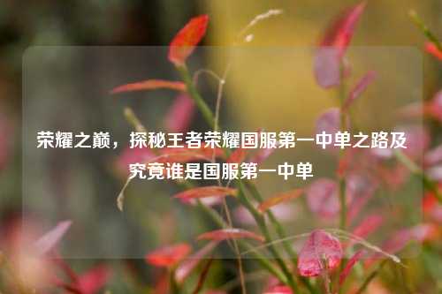 荣耀之巅，探秘王者荣耀国服第一中单之路及究竟谁是国服第一中单