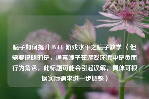 喷子如何提升 PubG 游戏水平之喷子教学 (但需要说明的是,通常喷子在游戏环境中是负面行为角色,此标题可能会引起误解,具体可根据实际需求进一步调整)