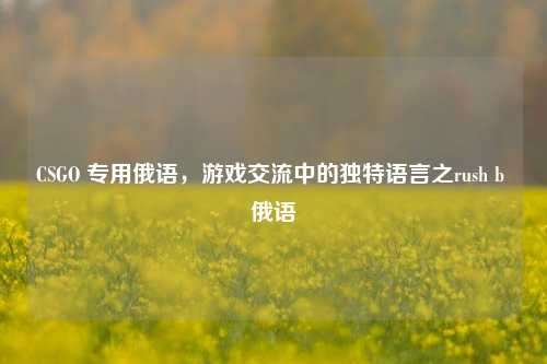 CSGO 专用俄语，游戏交流中的独特语言之rush b 俄语
